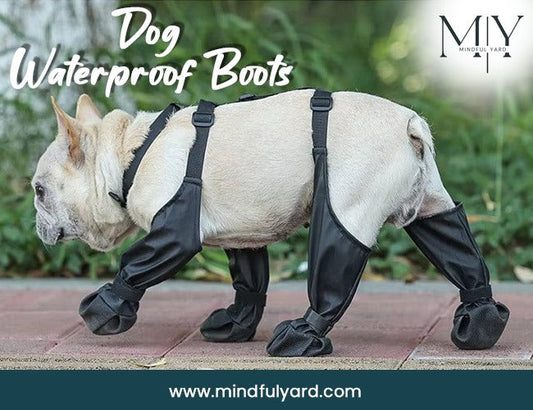 Dog Waterproof Boots: Essential Paw Protection for Outdoors and Indoors