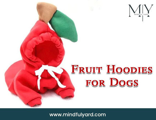 Fruit Pet Coat Hoodies for Dogs: Warmth, Comfort, and Everyday Style