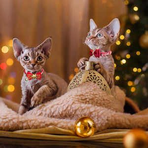 2 Pack Christmas Cat Collar with Bells Christmas Cat Bowtie with Christmas Tree and Santa Claus Pattern Xmas Breakaway Cat Collar Size Adjustable from 8"-12".