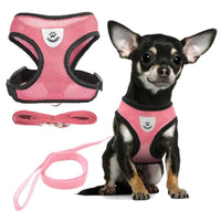 Adjustable Vest Pet Harness.