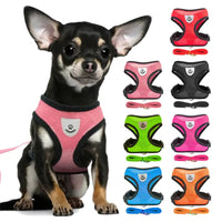 Adjustable Vest Pet Harness.
