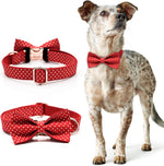 Dog Bowtie Collars Personalized Metal Buckle,Dog Collar Heavy Duty for Large/Medium/Small Size Dogs&Cats Male/Female,Waterproof (Red, L).