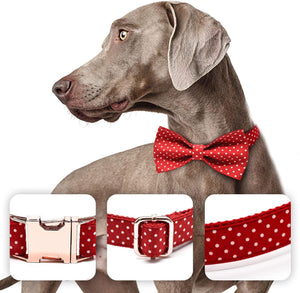 Dog Bowtie Collars Personalized Metal Buckle,Dog Collar Heavy Duty for Large/Medium/Small Size Dogs&Cats Male/Female,Waterproof (Red, L).