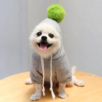 Mindful Yard Fruit Pet Coat Hoodies 2 Grey / L Fruit Pet Coat Hoodies