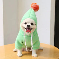 Fruit Pet Coat Hoodies.