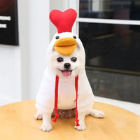 Mindful Yard Fruit Pet Coat Hoodies 4 White Duck / XXL Fruit Pet Coat Hoodies