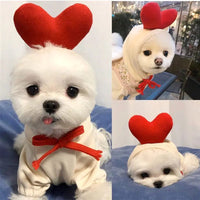 Fruit Pet Coat Hoodies.