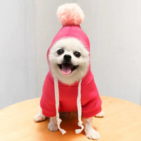 Fruit Pet Coat Hoodies.