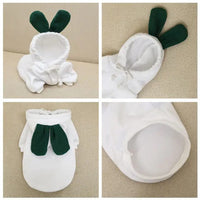 Mindful Yard Fruit Pet Coat Hoodies White Carrot / S Fruit Pet Coat Hoodies