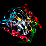 2 Pcs LED Sport Luminous Shoelaces Glow Shoe Strings.