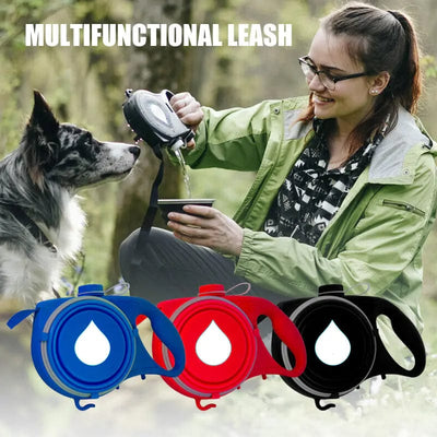 Multifunctional Leash