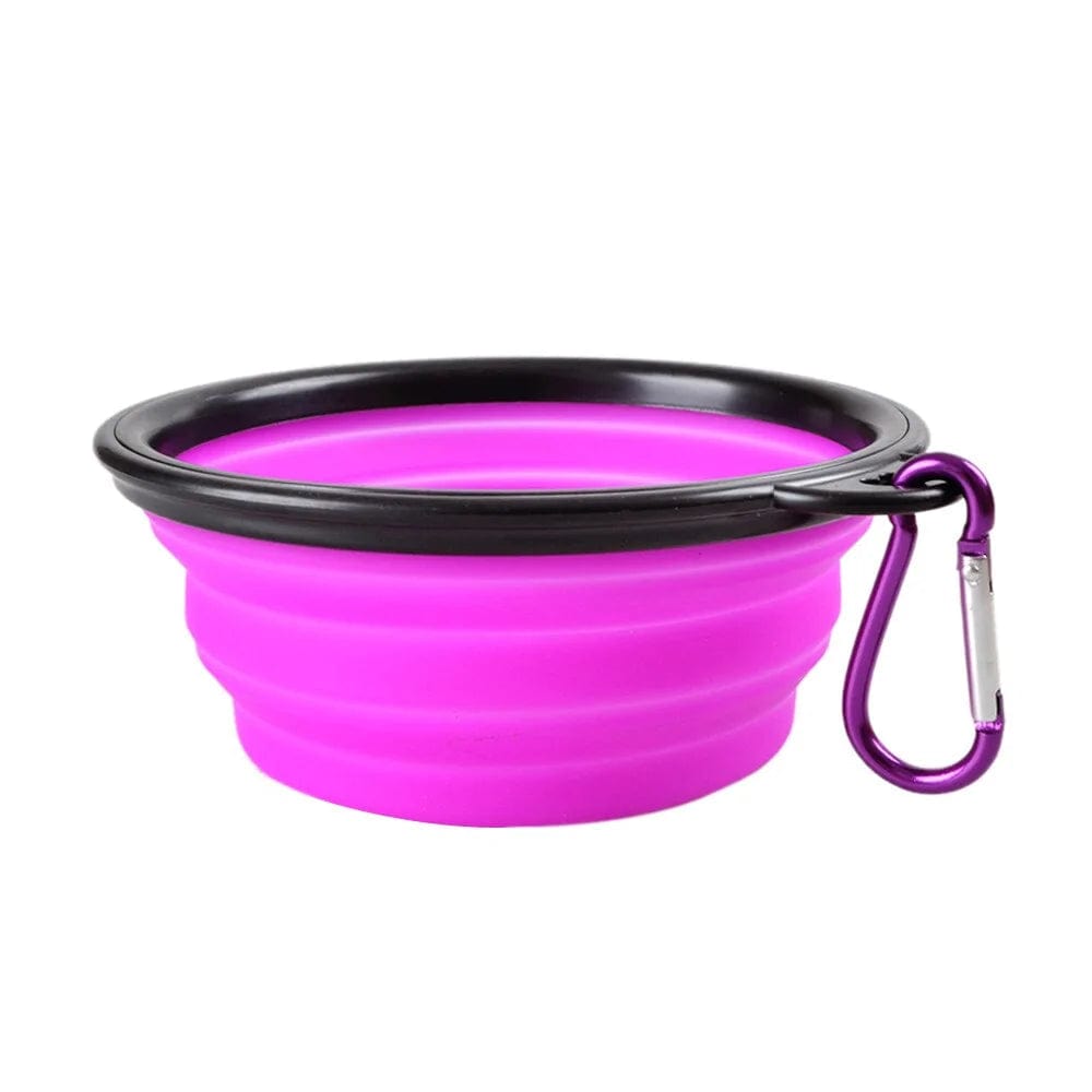 Foldable Cup Dish For Dogs Cat.