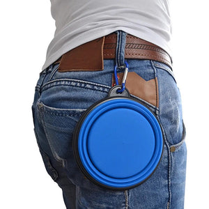 Foldable Cup Dish For Dogs Cat.