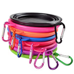 Foldable Cup Dish For Dogs Cat.