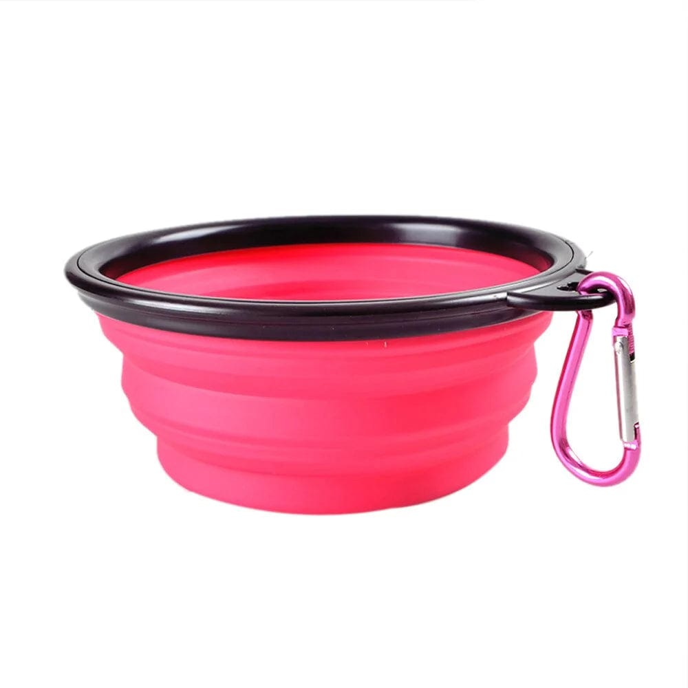 Foldable Cup Dish For Dogs Cat.
