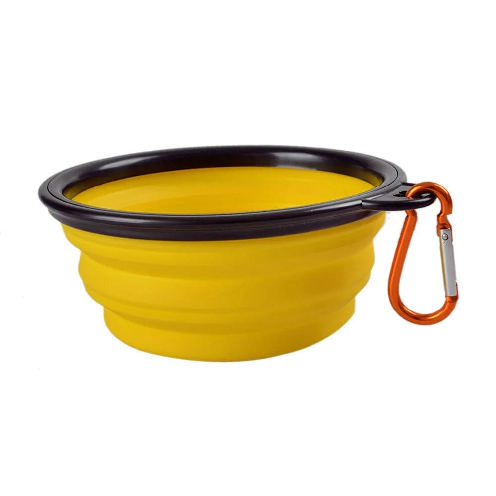 Foldable Cup Dish For Dogs Cat.