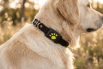 Mindful Yard Pet GPS Tracker Collar Black / 1PC Pet GPS Tracker Collar