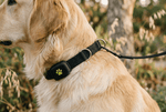 Mindful Yard Pet GPS Tracker Collar Black / 1PC Pet GPS Tracker Collar