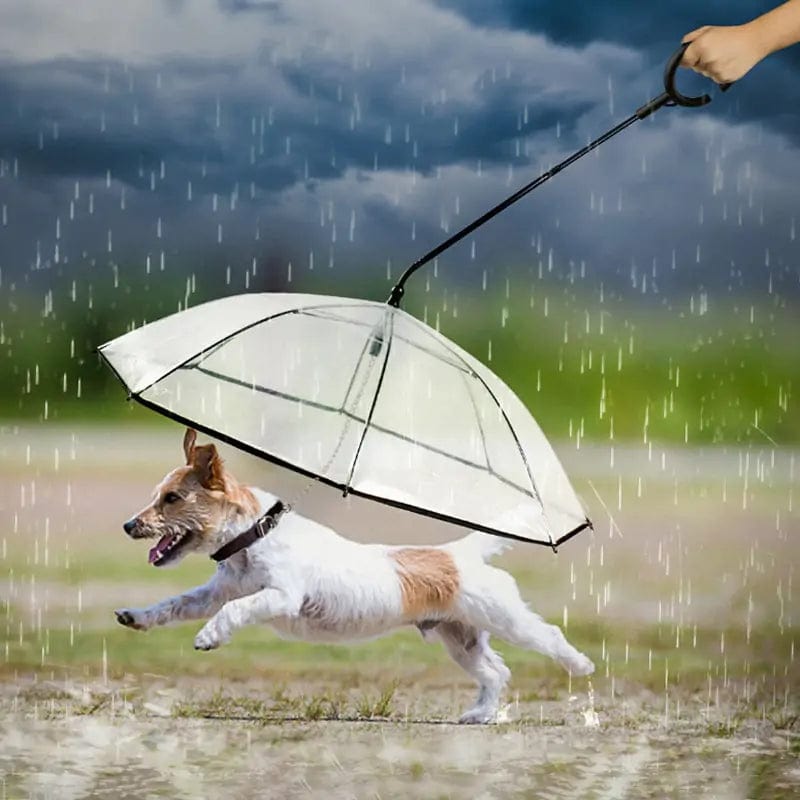 Mindful Yard Pet Umbrella Pet Transparent Umbrella