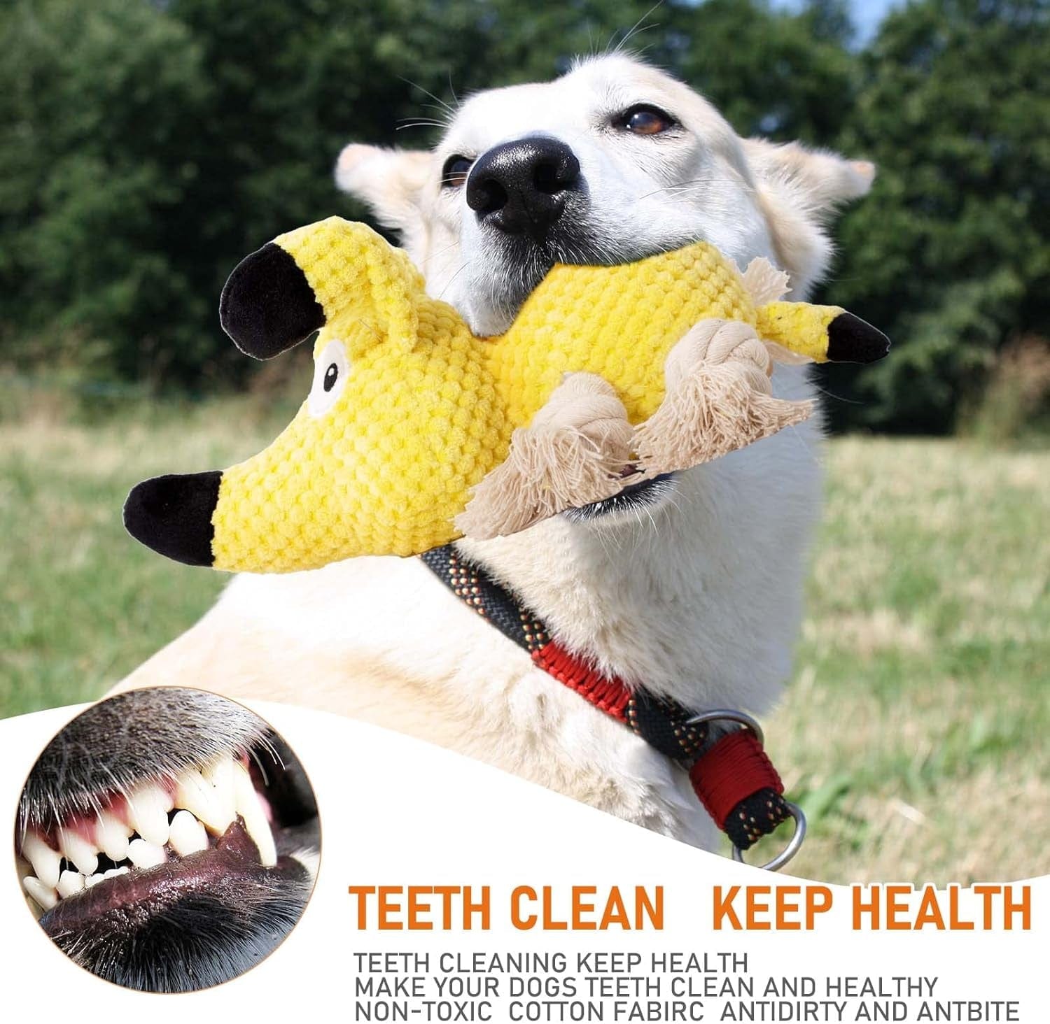 Ultimate Squeaky Dog Chew Toy - Durable Crinkle & Rope Toys for Teeth Cleaning | Perfect for Small to Medium Dogs.