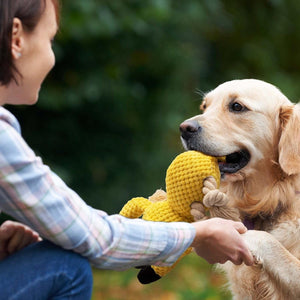 Ultimate Squeaky Dog Chew Toy - Durable Crinkle & Rope Toys for Teeth Cleaning | Perfect for Small to Medium Dogs.