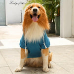 Warm Dog Hoodies for Medium-Large Dogs.