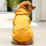 Warm Dog Hoodies for Medium-Large Dogs.