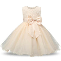 Princess Flower Girl Summer Costume Dresses.